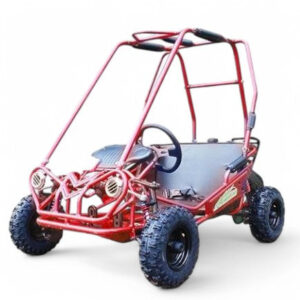 Trailmaster Mini XRS+ 163cc Kids Go Kart